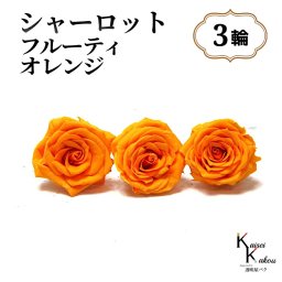 大地農園！プリザーブドフラワー 「シャーロット フルーティオレンジ 3輪」 プリザ 花材 ハーバリウム おしゃれ オレンジ  橙 バラ  かわいい プレゼント 贈り物 オオチノウエン