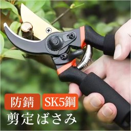 剪定ばさみ 園芸 通販 剪定鋏 ガーデニング 剪定はさみ ハサミ 庭木 枝切りバサミ はさみ 植木 剪定バサミ 家庭菜園 花 植物 庭掃除 園芸用はさみ 盆栽 おしゃれ 収穫 握りやすい 園芸用品 ガーデニング用品 作業 造園用品