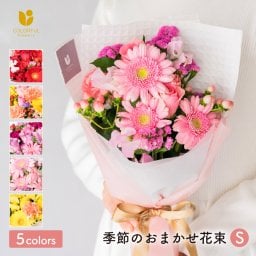 季節のおまかせ 花束Sサイズ ブーケ 韓国ラッピング 花束 生花 花市場から直送 ガーベラ バラ カーネーション  お祝い 誕生日 記念日