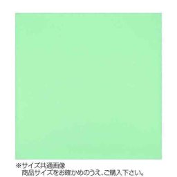【11月20日入荷分予約受付中】 東レ トレシー カラークロス セージ 30×30cm クリーニングクロス メガネ拭き スマホクリーナー タブレット 液晶画面 パソコン 貴金属 時計 レンズ 指紋拭き 超極細繊維 日本製 おしゃれ ギフト プレゼント