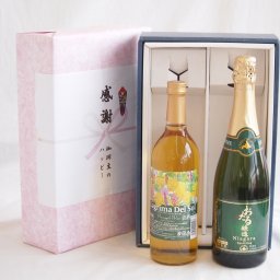 実りの秋の贈り物 感謝の贈り物ボックス 沖縄産パイナップル辛口白ワインと国産ワインセット(おたる醸造 ナイアガラス白パークリングワインやや甘口(北海道)720mlラグリマ・デル・ソル辛口白ワイン 720ml