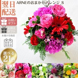 【おまかせアレンジメントＳsize】即日発送 送料無料 生花アレンジメント 生花 アレンジメント 色を選んでおまかせ 誕生日 お祝い 結婚式 展示会 楽屋花 出産お祝い 記念日ギフト 父の日 母の日 敬老の日 お見舞い プレゼント お中元 お歳暮 お彼岸
