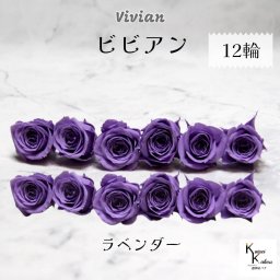大地農園！プリザーブドフラワー 「ビビアン ラベンダー 12輪」  プリザ 花材 ハーバリウム  おしゃれ かわいい プレゼント 贈り物 オオチノウエン バラ 薔薇 ローズ rose