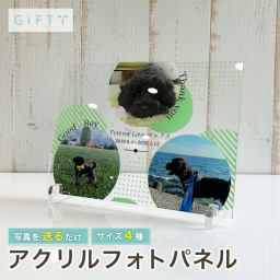 ペット 遺影 アクリルパネル 写真立て 名入れ 供養 仏具 虹の橋 メモリアル ギフト 犬 猫 愛犬 愛猫 お悔やみ 命日 仏壇 四十九日 一周忌 法要 贈り物 プレゼント 記念品 20代 30代 40代 50代 メッセージ 刻印 豪華 おしゃれ かわいい ナチュラル 高品質 日本製 ブルー 青 水色 爽やか 父親 贈答 写真入り 家族 終活 ペットロス 癒し 仏花 デザイン 立て掛け【a59】
