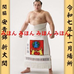 安青錦 新大 関　優勝ミニ額 大相撲ミニ額 大相撲優勝額　令和７（２０２５）年１１月場所 優勝 関脇 安青錦 関（初優勝）優勝記念品 相撲グッズ 力士グッズ 相撲取りグッズ 国技館 限定品 記念品 コレクション 写真 R0711