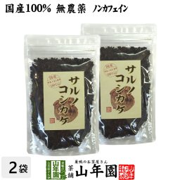 【国産 100%】サルノコシカケ茶 70g×2袋セット 宮崎県産 ノンカフェイン 無農薬 さるのこしかけ サルノコシカケ 健康茶 妊婦 ダイエット サプリ セット ギフト プレゼント プチギフト お茶 敬老の日 2026 内祝い お返し