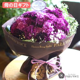 【送料込価格】母の日ギフト ムーンダストの花束（LL 48本）【母の日 カーネーション 花束 母の日 花 母の日ギフト 贈り物 花 紫のカーネーション 母の日プレゼント 母の日 ギフト 母の日 プレゼント 生花 花ギフト おしゃれ 花瓶が要らない花束 可愛い】