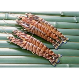 【大分産】活〆凍結 車海老 200g(8～12尾入)