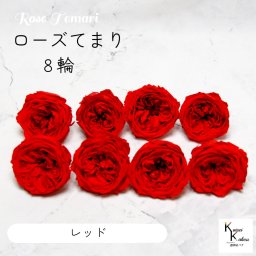 大地農園！プリザーブドフラワー 「ローズ・てまり レッド 1箱(8輪)」 贈り物　オオチノウエン バラ 薔薇 ローズ rose