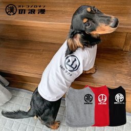漢の浪漫Tシャツ XXL-3XLサイズ ペット 犬服 犬の服 名入れ 名前入り 名入り 名前入り 半袖 春 夏 Tシャツ おしゃれ かわいい 犬 飼い主 服 好き プレゼント 誕生日 小型犬 中型犬 チワワ トイプードル ポメラニアン マルチーズ マルプー ダックスフンド