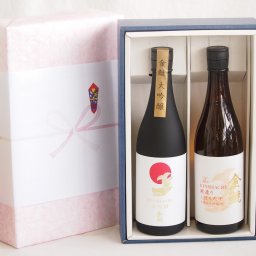 冬の贈り物お歳暮 贅沢な日本酒感謝ボックス2本セット(金鯱寒造りしぼりたて本醸造生貯蔵(愛知) 金鯱大吟醸(愛知)) 720ml×2本