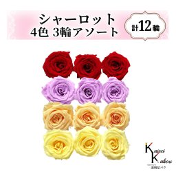 大地農園！プリザーブドフラワー「シャーロット 4色×3輪アソート 計12輪」「クイーンレッド スウィートライラック ジュリアオレンジ モーニングイエロー」プリザ 花材 ハーバリウム おしゃれ ピンク バラ かわいい プレゼント 贈り物 オオチノウエン