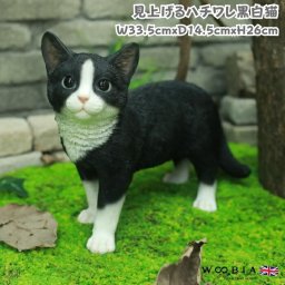 猫 置物 リアルでかわいい おしゃれ 大きい 見上げるハチワレ黒白猫 ねこ 横幅33.5cm woobia ウービア ガーデン インテリア オブジェ 可愛い プレゼント 北欧 玄関 雑貨 動物 モダン 面白い 庭 ギフト 屋外 家 玄関先 ガーデンオーナメント