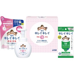 ライオン キレイキレイ泡ハンドソープセット ／ハンドソープ ボディケア コスメ・ヘアケア 敬老の日 プレゼント ギフト お彼岸 お供え 秋 2026 送料無料 ギフト プレゼント プチギフト 内祝い 快気祝い 出産祝い 結婚祝い 引出物 新築祝い お返し