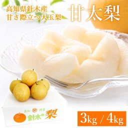 甘太 梨 高知県針木産 約3kg（大玉5～6玉）糖度15度前後 甘くて大きい 希少品種 新品種 大玉 和梨 産地直送 高知産 家庭用 贈答用 ギフト お取り寄せ 高知県針木地区の梨農家から甘さ際立つ希少な甘太を産地直送でお届けします【送料無料】[ヤマト発送]