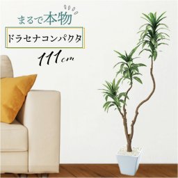 フェイクグリーン ドラセナコンパクタ 通販 フェイク グリーン 人工観葉植物 インテリアグリーン イミテーショングリーン インテリアプランツ 人工樹木 ポット 鉢植え アーティフィシャルグリーン 人工植物 おしゃれ リビング 寝室 インテリア GLA-1471