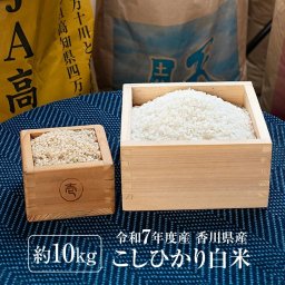 新米 令和7年産 コシヒカリ 10kg (5kg×2袋) 米 香川県産 こしひかり お米10キロ 産地直送 コシヒカリ10Kg 白米 こしひかり10キロ おこめ10kg お米10きろ こめ10ｋ 米10kg 白米10キロ 精米 お米 国産 こめ コメ ギフト おいしいお米 美味しい米 おいしい 令和7年【送料無料(一部地域除く)】