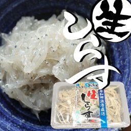 ＼朝獲れ！漁港より直送/生しらす 300g（100g×3パック） 岸和田漁港水揚げ 大容量 メガ盛り 超お買い得 シラス お取り寄せグルメ 冷蔵 冷凍 高級グルメ おうちごはん 小分け 美味しいもの おいしいもの