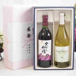 実りの秋の贈り物 感謝の贈り物ボックス 国産やや甘口赤ワインと国産ワインセット(シャインマスカット100白ワイン やや甘口(山梨県)750mlヴィンテージ実りの収穫 赤ワイン720ml