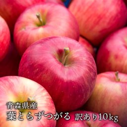 青森県産 葉とらずりんご つがる ご家庭用約10kg (約28〜40個) 人気の訳ありリンゴ 産地直送 同梱不可 りんご 林檎