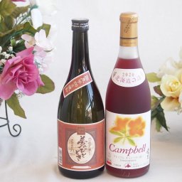 プレミアムな芋焼酎と国産ワインセット( 北海道の詩 プレミアムなキャンベル赤ワイン 甘口(北海道)720ml大分井上酒造夢のひととき23°720ml
