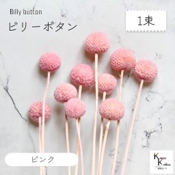 大地農園！プリザーブドフラワー 「ビリーボタン ピンク 1束」プリザ 花材 ハーバリウム おしゃれ かわいい プレゼント 贈り物　オオチノウエン