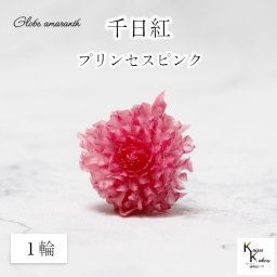 大地農園！プリザーブドフラワー 　１輪【千日紅　センニチコウ プリンセスピンク】ヘッドのみ　プリザ　花材 ハーバリウム おしゃれ かわいい プレゼント 贈り物　オオチノウエン