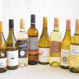 余韻に酔いしれるシャルドネ白ワイン10本セット(アルパカ ネセミヨン辛口Alc.12.5%(チリ) ノルテ スルAlc.13%(スペイン) デル スール辛口Alc.13%(チリ) ヴィーニャ サン エステバン クラシックAlc.13%(チリ) ソムリエA