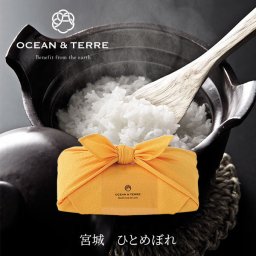 TSUTSUMI 瑞穂の恵み 宮城産 ひとめぼれ OTVL8 オーシャンテール OCEAN＆TEREE 〈A651〉 プチギフト プレゼント おみやげ 粗品 販促品 プチプラ 個包装 ギフト のし ラッピング対応外