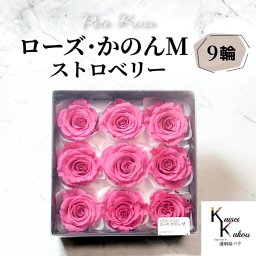 大地農園 「ローズかのんM ストロベリー 9輪(1箱)」 プリザーブドフラワー バラ プリザ 花材 ハーバリウム おしゃれ かわいい プレゼント 贈り物 オオチノウエン