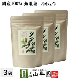 【国産 100%】グァバ茶 3g×16パック×3袋セット ティーパック ノンカフェイン 鹿児島県産 無農薬 グアバ茶 健康茶 妊婦 ダイエット ティーバッグ サプリ 苗 セット ギフト プレゼント プチギフト お茶 敬老の日 2026 内祝い お返し