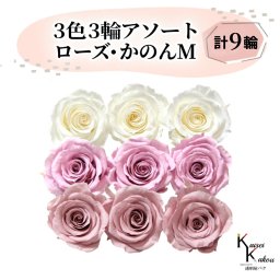 大地農園 「ローズかのんM 3色×3輪アソート 計9輪」 「アンティックホワイト クリスタルピンク ミスティローズ」　プリザーブドフラワー バラ プリザ 花材 ハーバリウム おしゃれ かわいい プレゼント 贈り物 オオチノウエン