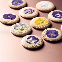 至福のスイーツギフト ｴﾃﾞｨﾌﾞﾙﾌﾙｰﾙｸｯｷｰ お取り寄せスイーツ プレゼント 記念品 引出物 ラッピング 母の日 バレンタイン クリスマスAS138