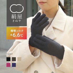 2重編み 手袋 極暖 シルク レディース 女性用 アームウォーマー ハンドウォーマー 内側シルク 温活 冷え取り 絹 シルク 絹屋 日本製 防寒 贈り物 ギフト プレゼント