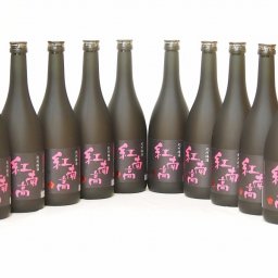 中野BC 紀州梅酒 紅南高(和歌山県) 720ml×10本