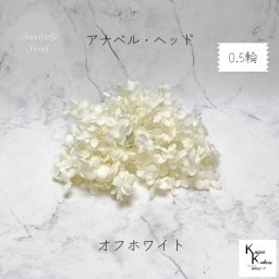 宅急便で発送 大地農園！プリザーブドフラワー 「ソフトアナベルアジサイ オフホワイト 0.5輪分」 プリザ アジサイ 紫陽花 花材 ハーバリウム おしゃれ かわいい プレゼント 贈り物 オオチノウエン アナベルアジサイ・ヘッド