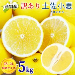 訳あり 土佐小夏 2S～2Lサイズ 混合 5kg 小玉 千の果樹園 宿毛 小夏 高知産 家庭用 宿毛小夏 宿毛 日向夏 高知 ニューサマーオレンジ 5キロ フルーツ 柑橘 柑橘類 産地直送【送料無料】