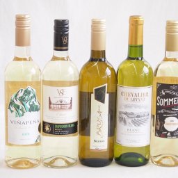 セレクション 白ワイン 5本セット( スペインワイン 1本 フランスワイン 1本 イタリアワイン 1本 チリワイン 2本)計750ml×5本