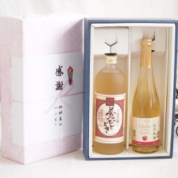 冬の贈り物お歳暮 感謝の贈り物ボックス プレミアムな麦焼酎と国産ワインセット(信州りんごシードルワインやや甘口(長野県)500ml夢のひととき熟成麦焼酎25°(大分県)720ml