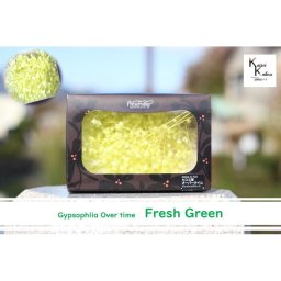 大地農園！プリザーブドフラワー 約10g分【カスミソウ　オーバータイム　フレッシュグリーン】プリザ　カスミ草　カスミソウ 花材 ハーバリウム おしゃれ かわいい プレゼント 贈り物　オオチノウエン