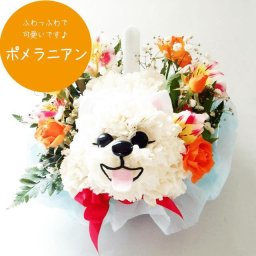 ポメラニアン フラワーアレンジメント まるでぬいぐるみみたい☆ふわふわでキュンとしちゃう♪かわいい生花カーネーションギフト