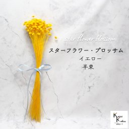 大地農園　「スターフラワー ブロッサム イエロー 半束」  小花 ドライフラワー ハーバリウム アロマワックスバー サシェ キャンドル 花材