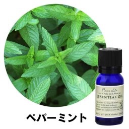 フレーバーライフ エッセンシャルオイル ペパーミント 10ml 精油 自然 アロマテラピー リラックス 癒し 健康 ナチュラル 美容 リフレッシュ ストレス軽減 バランス 香り ウェルネス エネルギー 高品質 心身の調和 癒やし効果