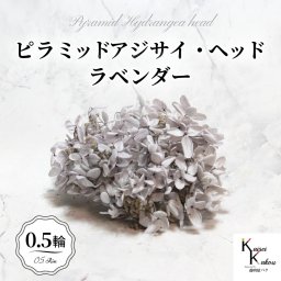 メール便で発送 大地農園！プリザーブドフラワー 「ソフトピラミッドアジサイ ラベンダー 0.5輪分」 プリザ アジサイ 紫陽花 花材 ハーバリウム おしゃれ かわいい プレゼント 贈り物 オオチノウエン ソフトピラミッドアジサイ・ヘッド