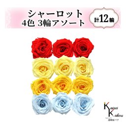 大地農園！プリザーブドフラワー「シャーロット 4色×3輪アソート 計12輪」「レッド モーニングイエロー ミモザイエロー ベビーブルー」プリザ 花材 ハーバリウム おしゃれ ピンク バラ かわいい プレゼント 贈り物 オオチノウエン