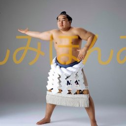 朝青龍明徳関　優勝ミニ額 大相撲ミニ額 大相撲優勝額　平成１６年１月場所 全勝 横綱 朝青龍明徳関（５回目の優勝） ※受注生産品のため、ご注文後はいかなる理由でも返品、返金はできません