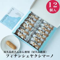 【添加物不使用！屋久島産たんかん フィナンシェ ヤクシマーノ/12個入】 父の日 フィナンシェ 美味しい 屋久島たんかん たんかん 屋久島 タンカン お土産 土産 退職 お菓子 フィナンシェ 焼き菓子 お取り寄せ 個包装 ギフト お菓子 無添加 お菓子 ギフト スイーツ 誕生日