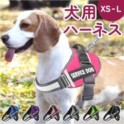 犬 ハーネス おしゃれ 通販 胴輪 ハンドル付き 簡単装着 引っ張り防止 抜けにくい ナイロン サイズ調整可能 脱走防止 いぬ ペット ペット用 通気性 小型犬 中型犬 大型犬 ペットグッズ ペット用品 アウトドア お出かけ お出掛け おでかけ 散歩 お散歩