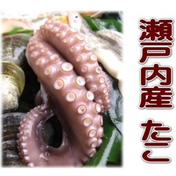 ☆【たこ】淡路島・明石・瀬戸内海産 真だこ  100g(足１本～２本）☆【明石たこ】【淡路たこ】【お祝い・お食い初め・ひな祭りのお祝い膳に!!】