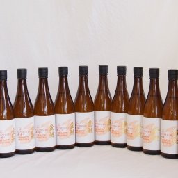 12本セット(愛知県日本酒 金鯱 寒造りしぼりたて生貯本醸造) 720ml×12本